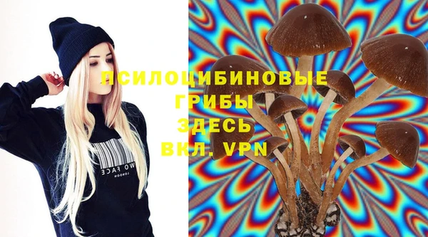 спиды Волосово